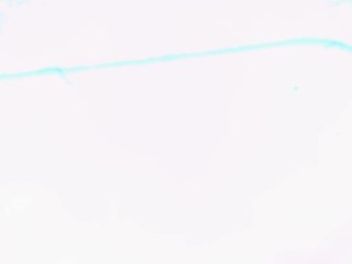20260506160334143.tif