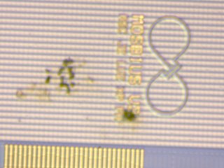 20260506160921097.tif