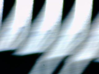 20260506160949148.tif