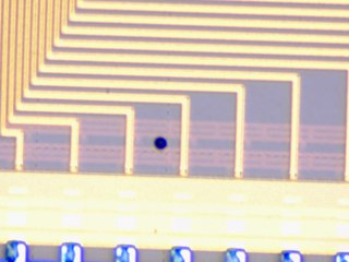 20260506161054400.tif