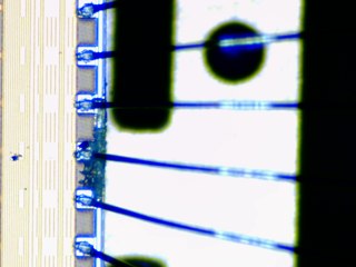 20260506161158459.tif