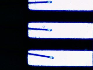 20260506161413050.tif