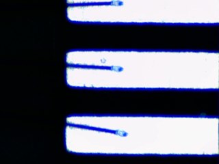 20260506161415070.tif