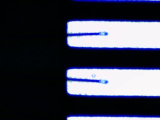 20260506161416068.tif