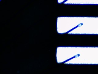 20260506161436091.tif