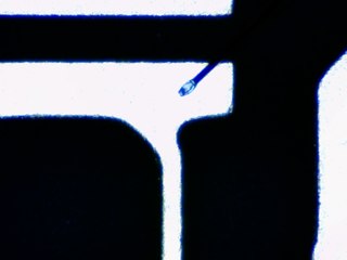 20260506161501136.tif