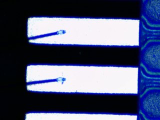 20260506161641560.tif