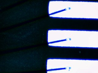 20260506161652635.tif