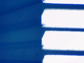 20260506161654631.tif