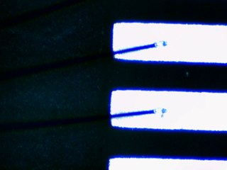 20260506161655663.tif