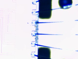 20260506161728643.tif