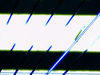 20260506161952839.tif