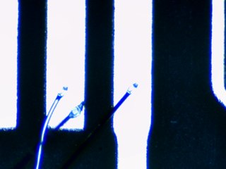 20260506161959834.tif
