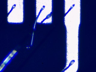 20260506162009845.tif