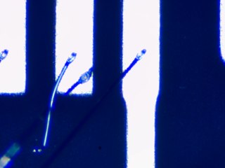 20260506162010840.tif