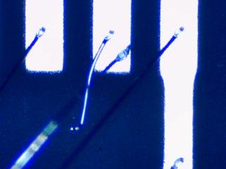 20260506162016849.tif