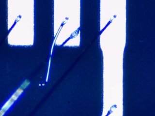 20260506162024836.tif