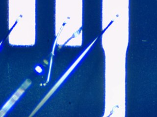 20260506162047843.tif