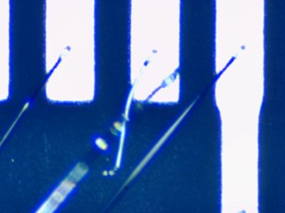 20260506162054874.tif