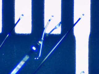 20260506162058891.tif