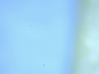 20260506162113883.tif