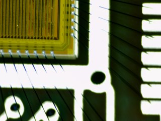 20260506172444786.tif