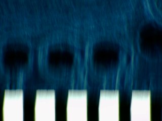 20260506172829187.tif