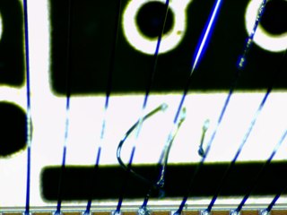20260506172940238.tif