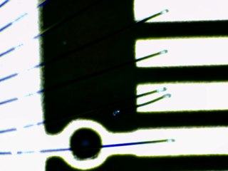 20260506173120438.tif