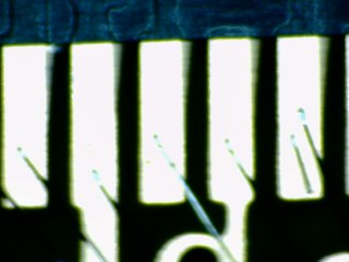 20260506173149474.tif