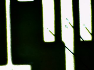 20260506173156482.tif