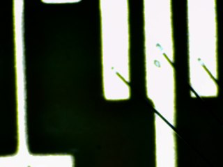 20260506173157482.tif