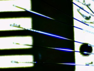 20260506173221507.tif