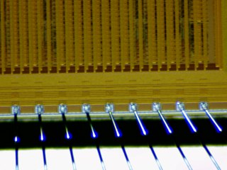 20260506173243567.tif