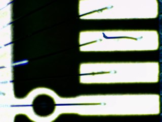 20260506173253582.tif
