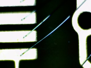 20260506173309581.tif