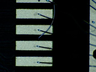 20260506173948966.tif