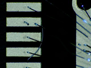 20260506173951973.tif