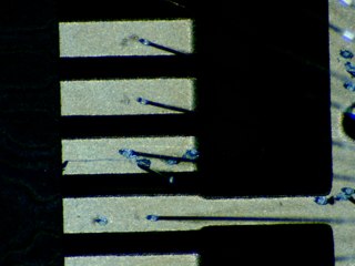 20260506174025045.tif