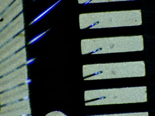 20260506174107052.tif