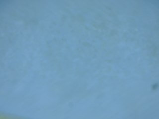 20260506174259259.tif