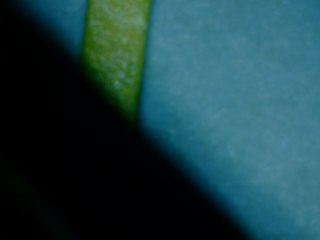 20260506175341341.tif