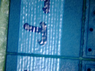 20260506175354337.tif