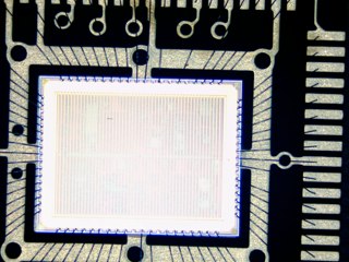 20260506175447391.tif