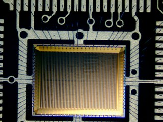 20260506180344459.tif