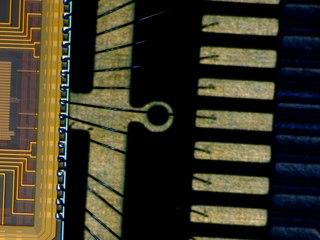 20260506181333630.tif