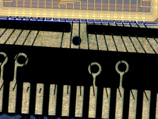 20260506181437690.tif