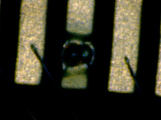 20260506181906891.tif