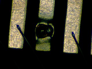 20260506181910889.tif