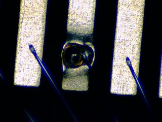 20260506181927920.tif